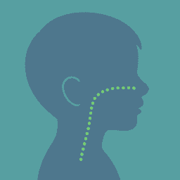 Respiración nasal saludable